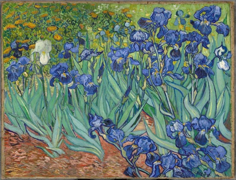 Vincent van Gogh – Íriszek – 110,7 millió dollár